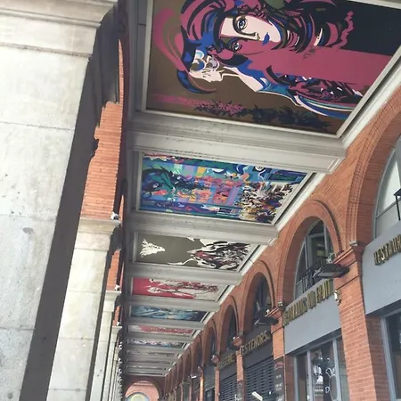 Toulouse Metropole Ouest Privee De Luxe - Sdb Wc Privee Terrasse Piscine Aqua Bike *